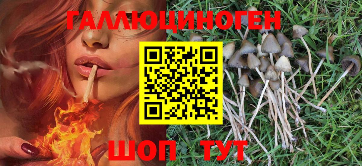 Псилоцибиновые грибы MAGIC MUSHROOMS Кудымкар