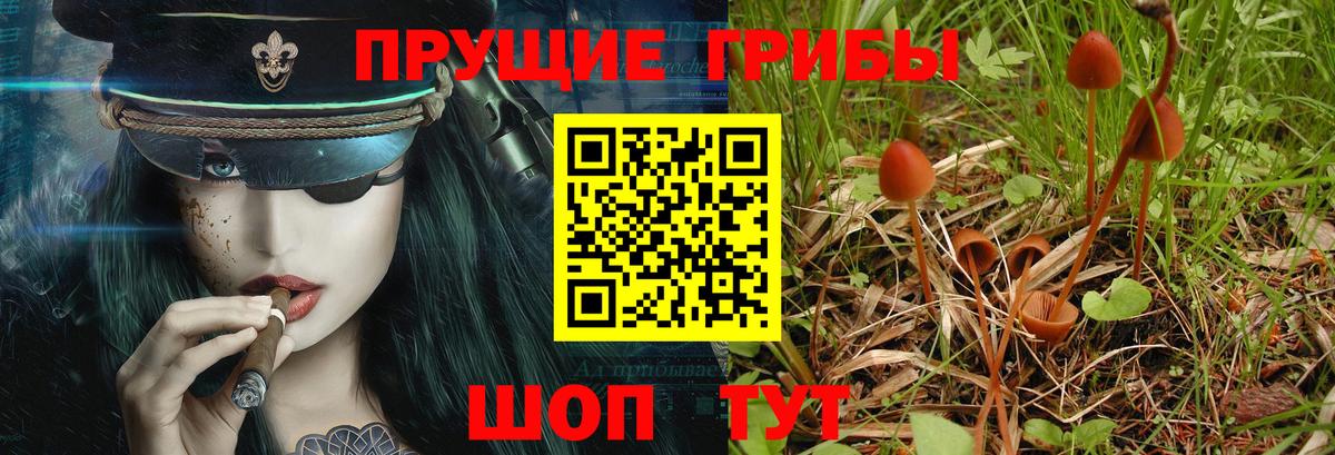 Кудымкар  Псилоцибиновые грибы GOLDEN TEACHER  Вход с VPN 