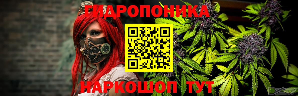 Шишки марихуана OG Kush  Каннабис марихуана  Кудымкар  Вход с VPN 